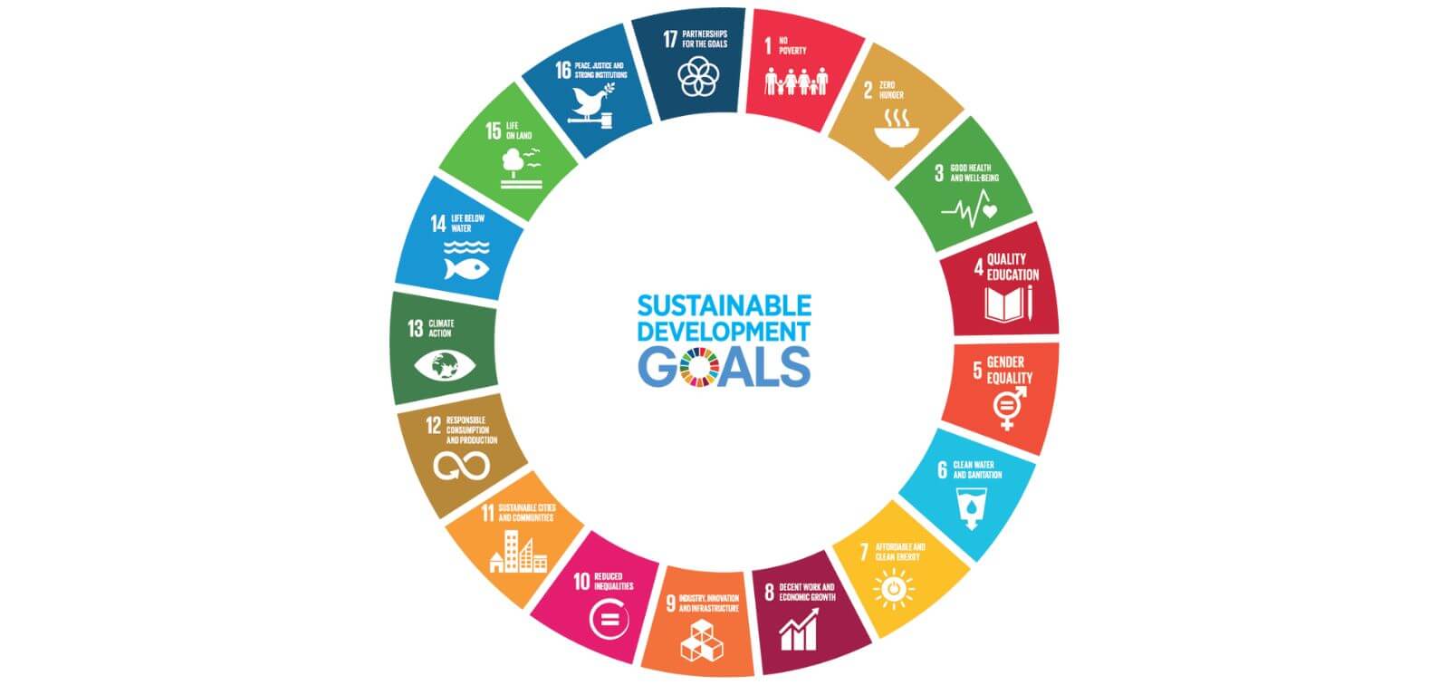 Strategic Engagement with the 2030 Agenda for Civil Society Organizations and Forus members | Forus