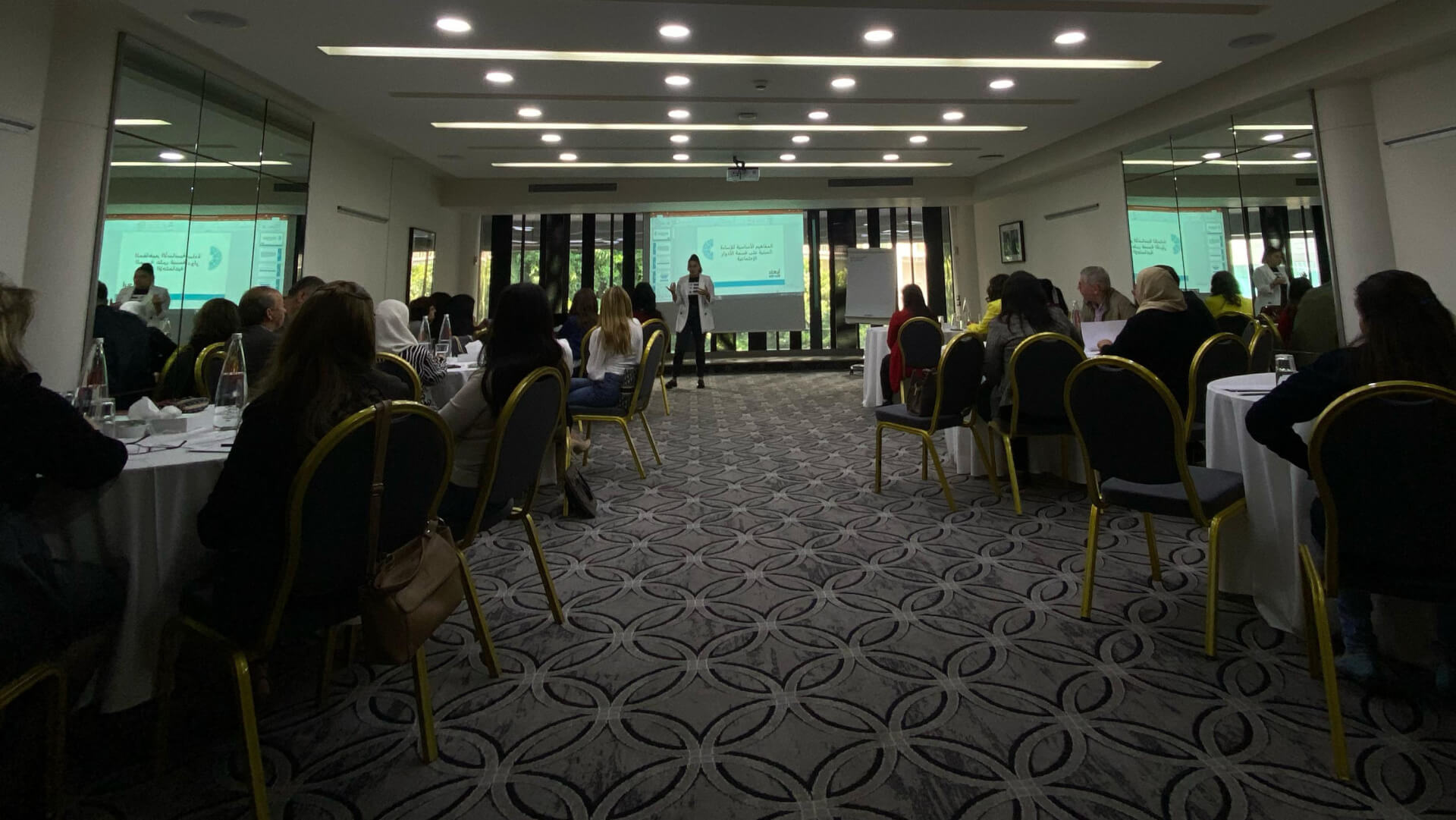 Training on Combating Violence Against Women and Girls (VAWG) | EFI - EuroMed Feminist Initiative