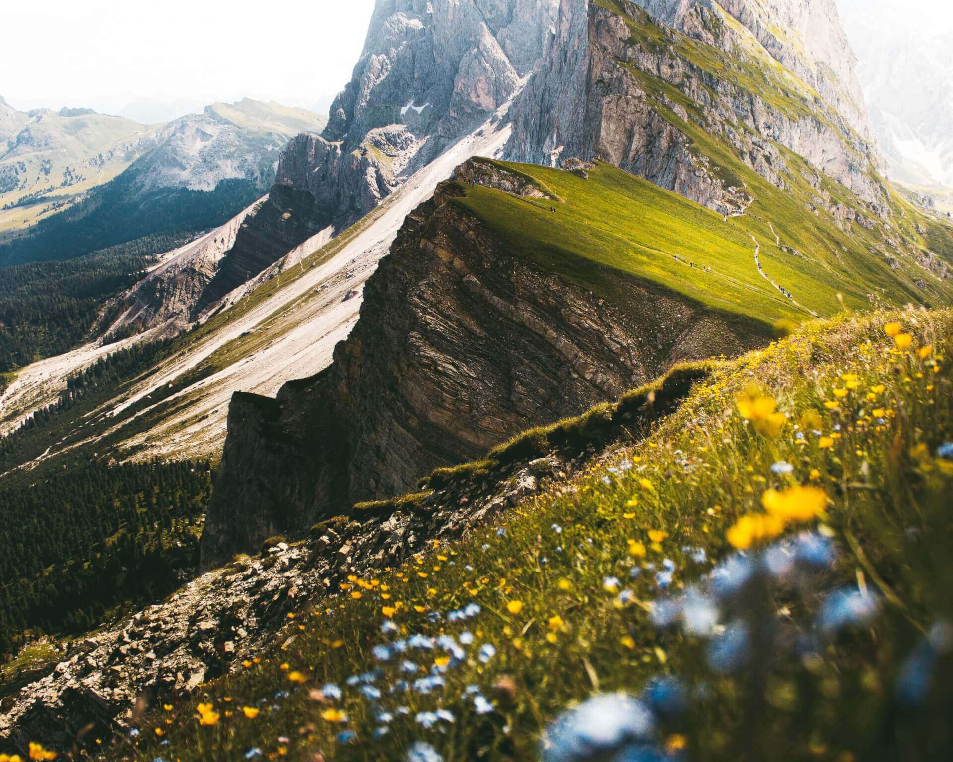 Delphine Escoulan - Naturopathe