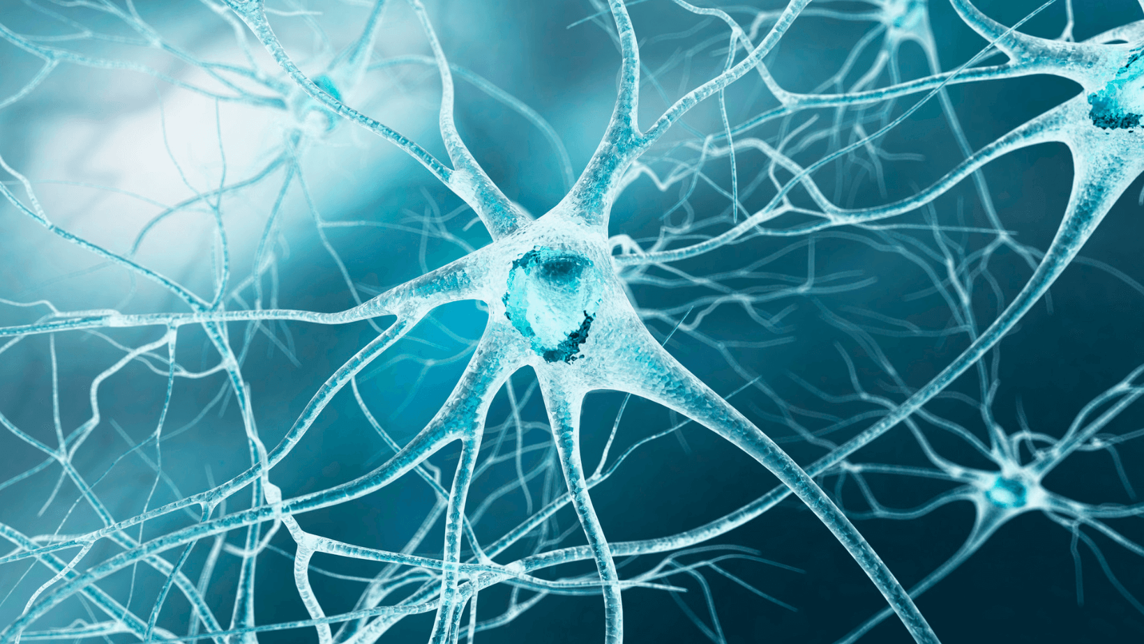 QUESTIONNAIRE : Les pathologies neurologiques en kinésithérapie | Alizé - Syndicat de kinésithérapeutes