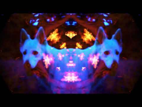 Cykada "The Cracks in the Bricks"