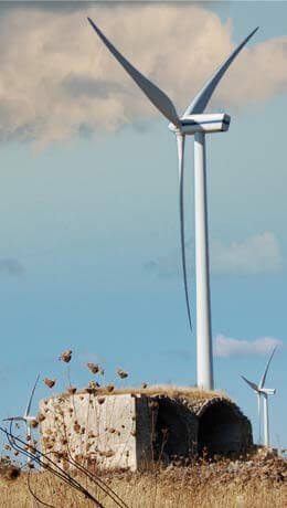 Friche (Urban wasteland) in progress | Babelmed