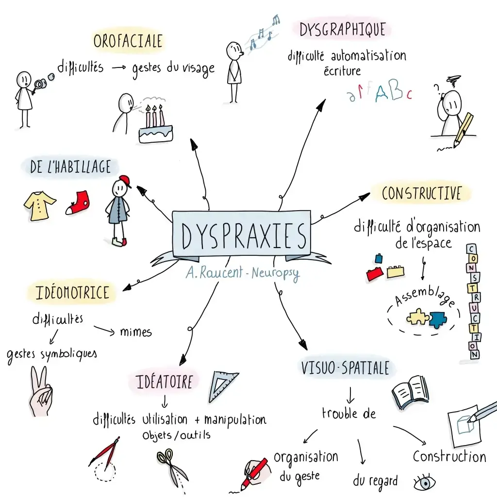 FDMF - Fédération Dyspraxique Mais Fantastique