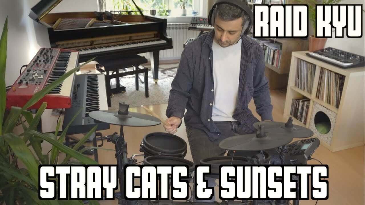 Stray Cats & Sunsets - Raid Kyu