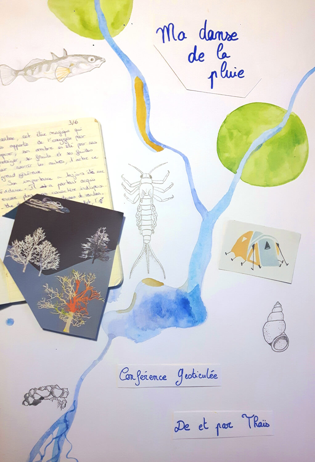 Conférence gesticulée "Ma danse de la Pluie" par Thaïs Boudot | Au Maquis