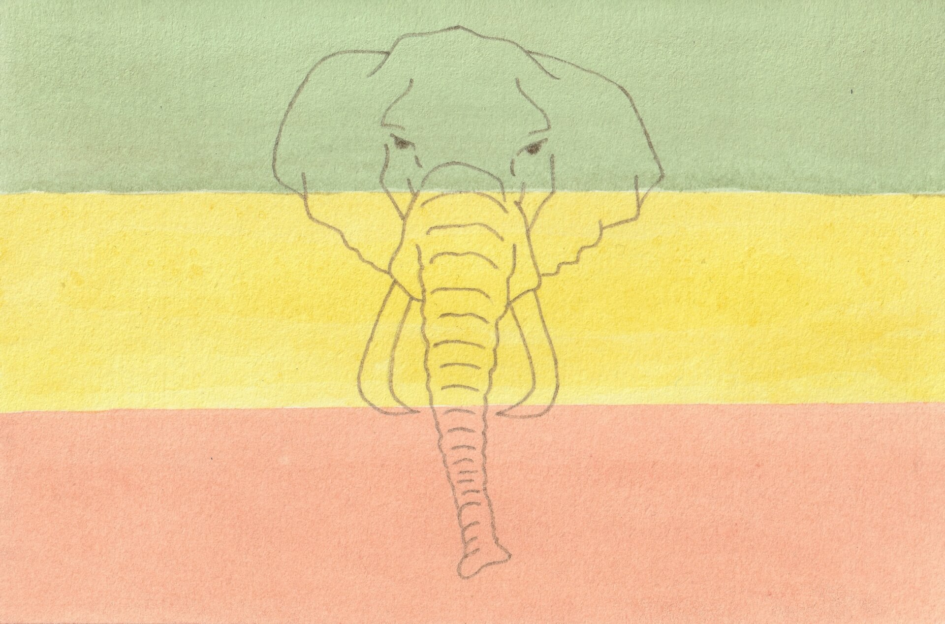 Rasta Eléphant | christophe-henry