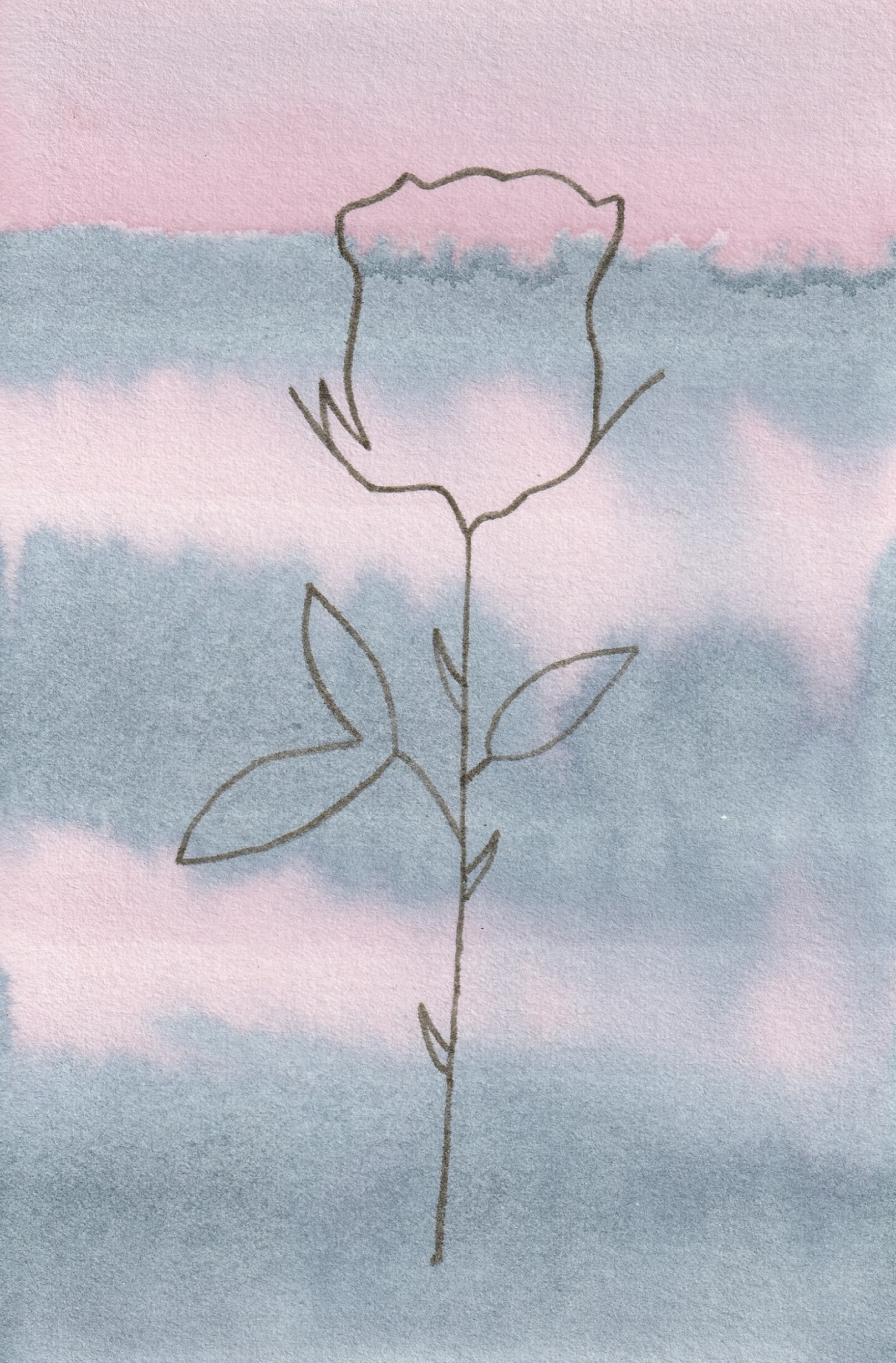 Chou-Chou Rose | christophe-henry