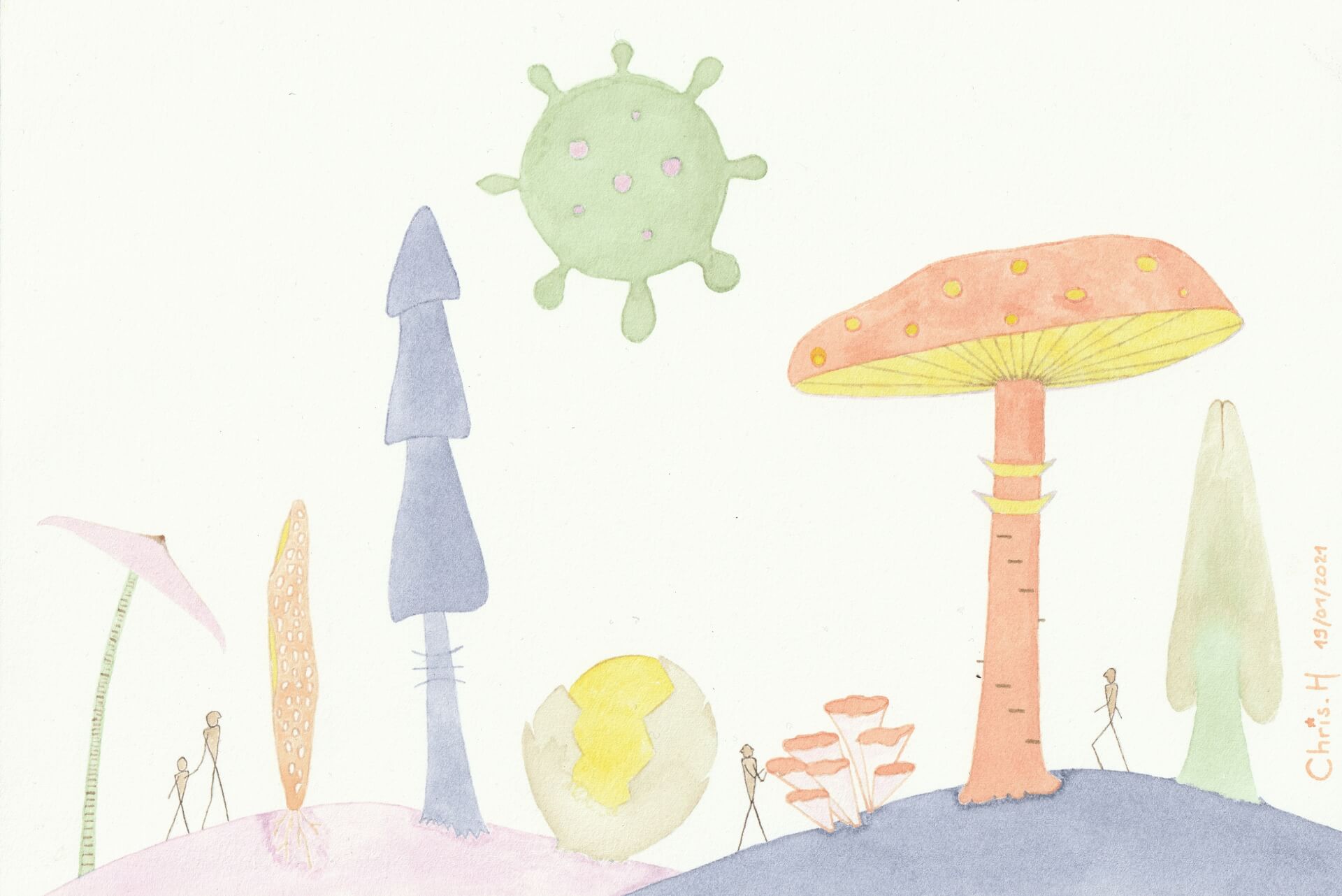 Champis | christophe-henry