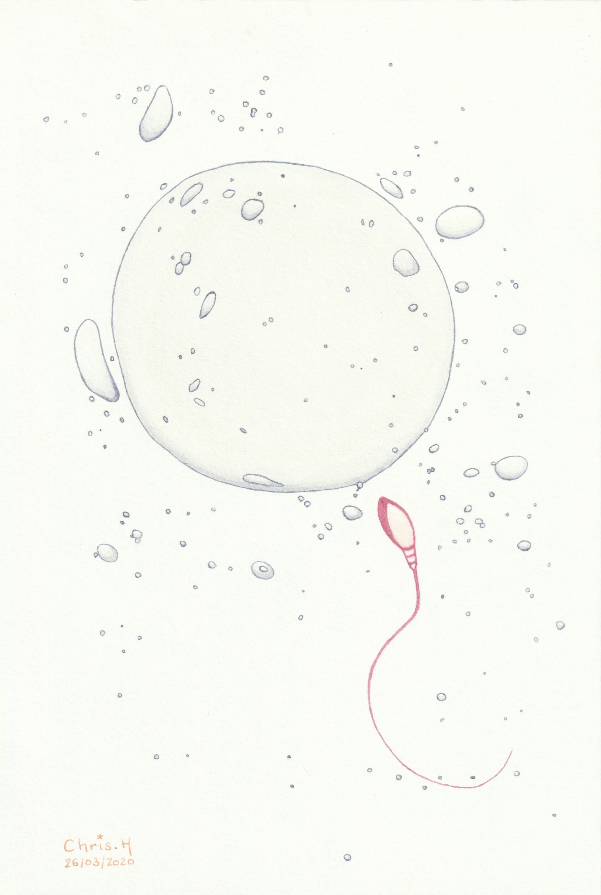 Rencontre | christophe-henry