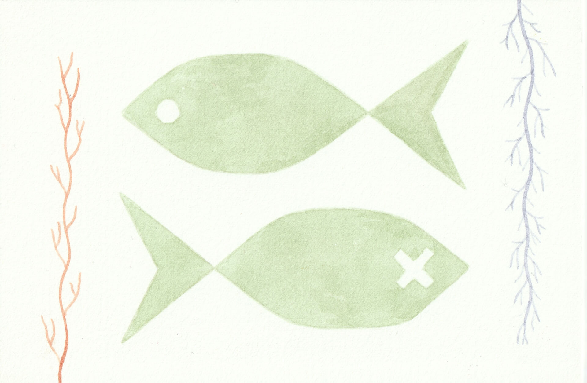 Poissons verts | christophe-henry