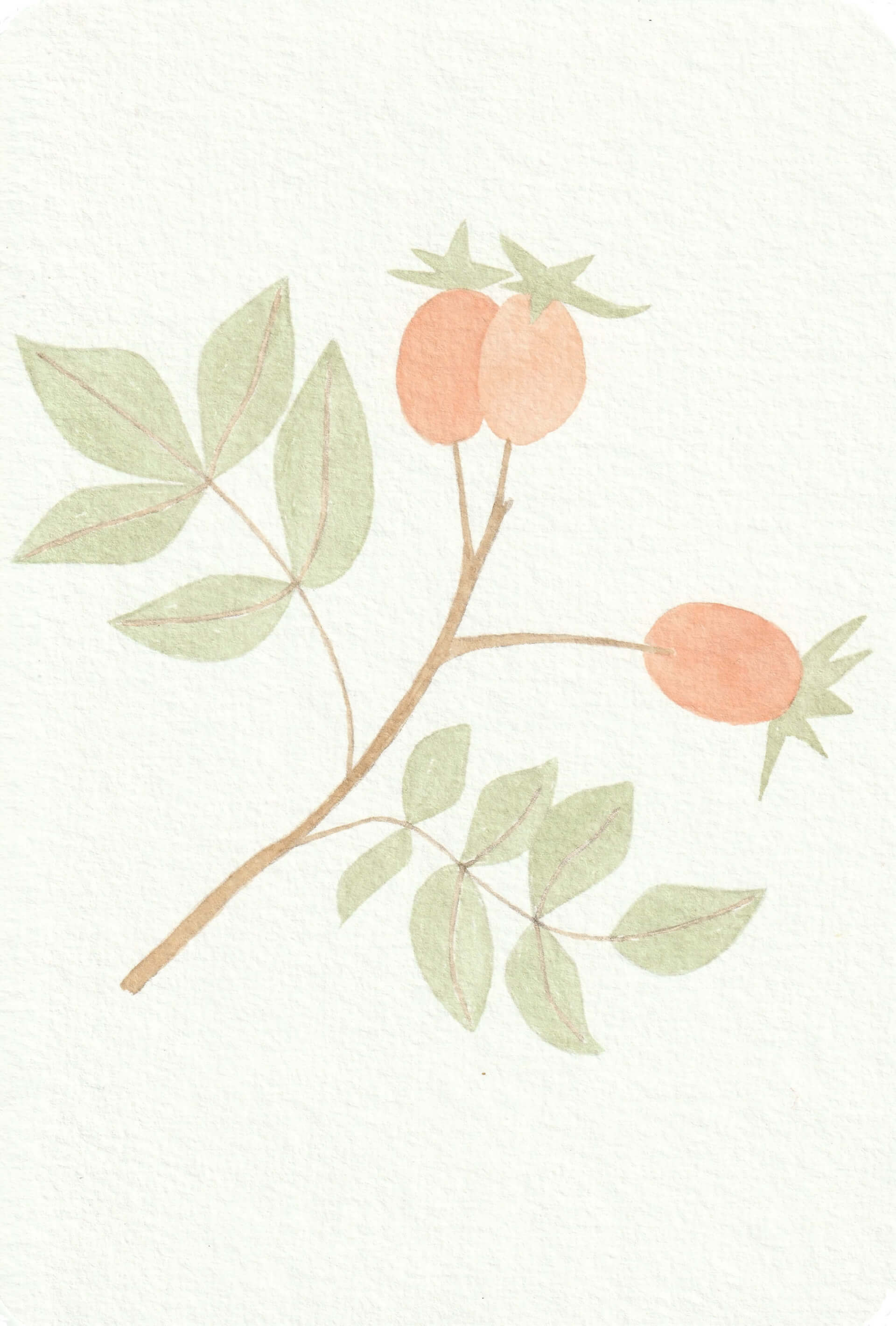 Gratte Q | christophe-henry