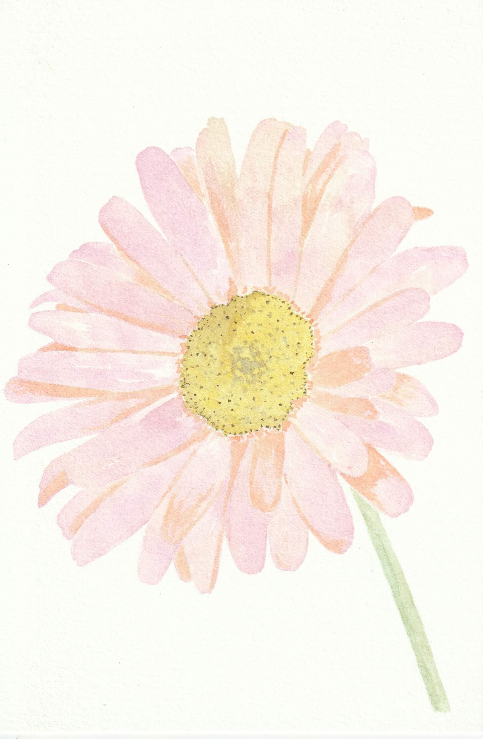 Marguerite | christophe-henry