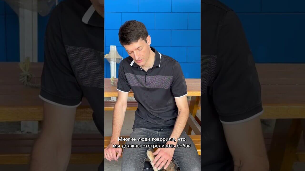 Программа "Кумайык". Стерилизация уличных собак в Канте (Кыргызстан) | AFKE