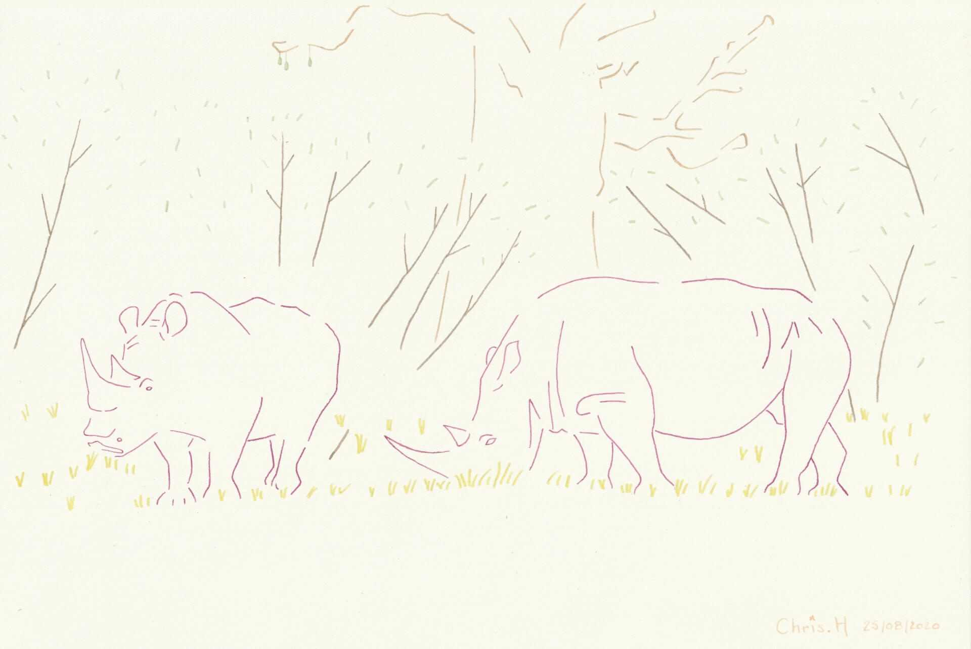 Rhinoféroces | christophe-henry