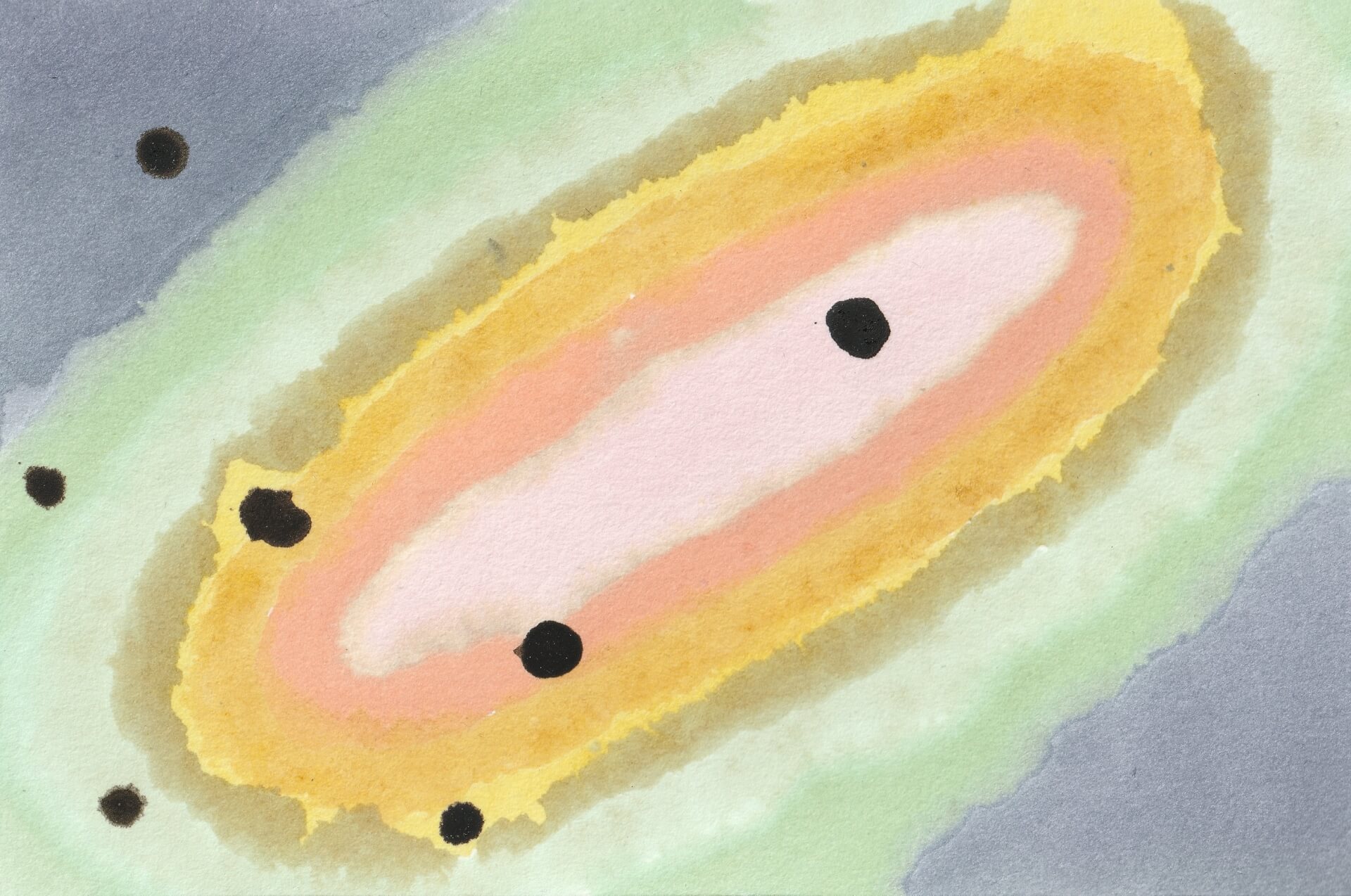 6x7 D | christophe-henry