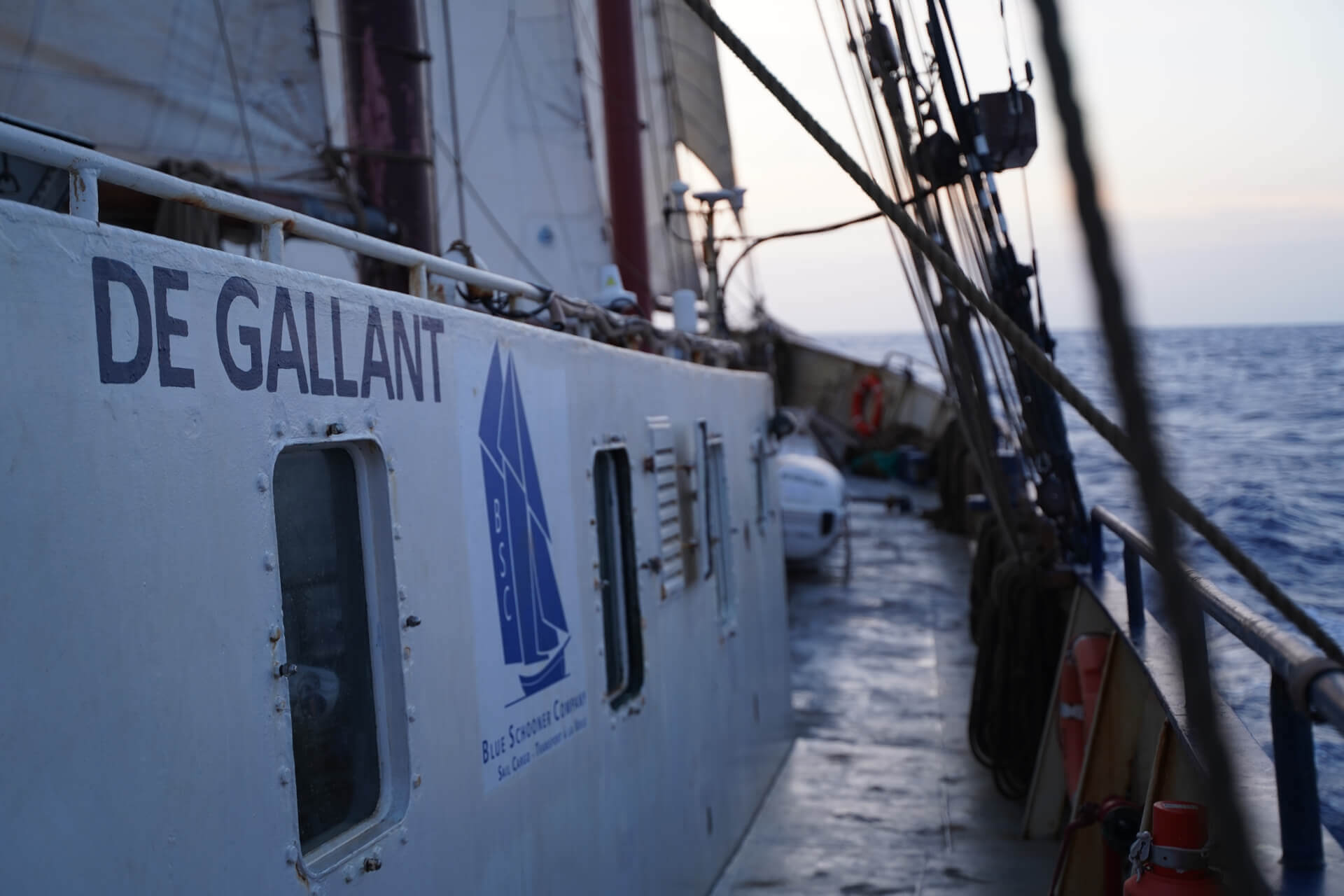 Hommage - De Gallant | Inspeer