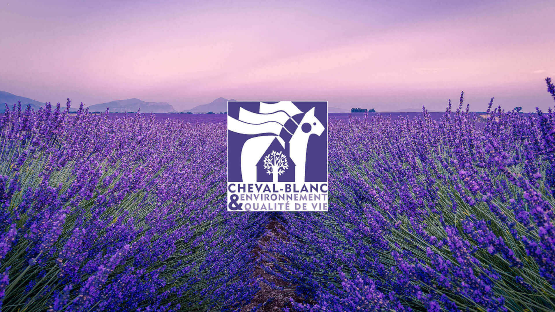 L'AEQV a un nouveau bureau... | AEQV