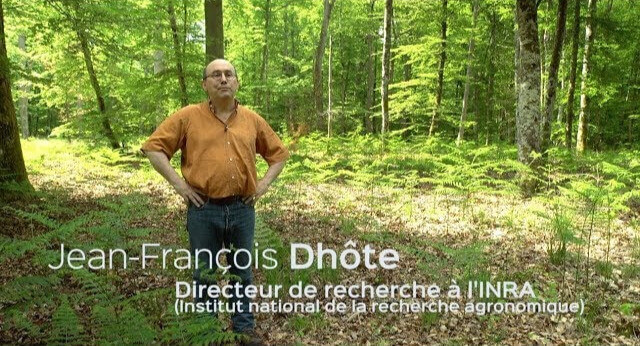 Papier et Forêt française