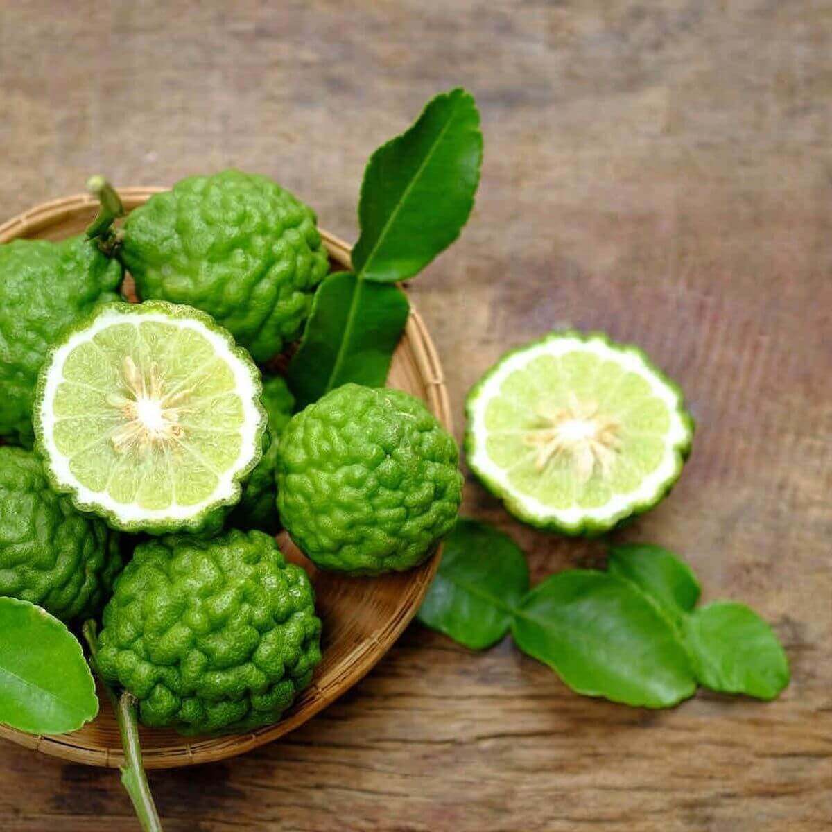 La bergamote | Au jardin d'Althéa