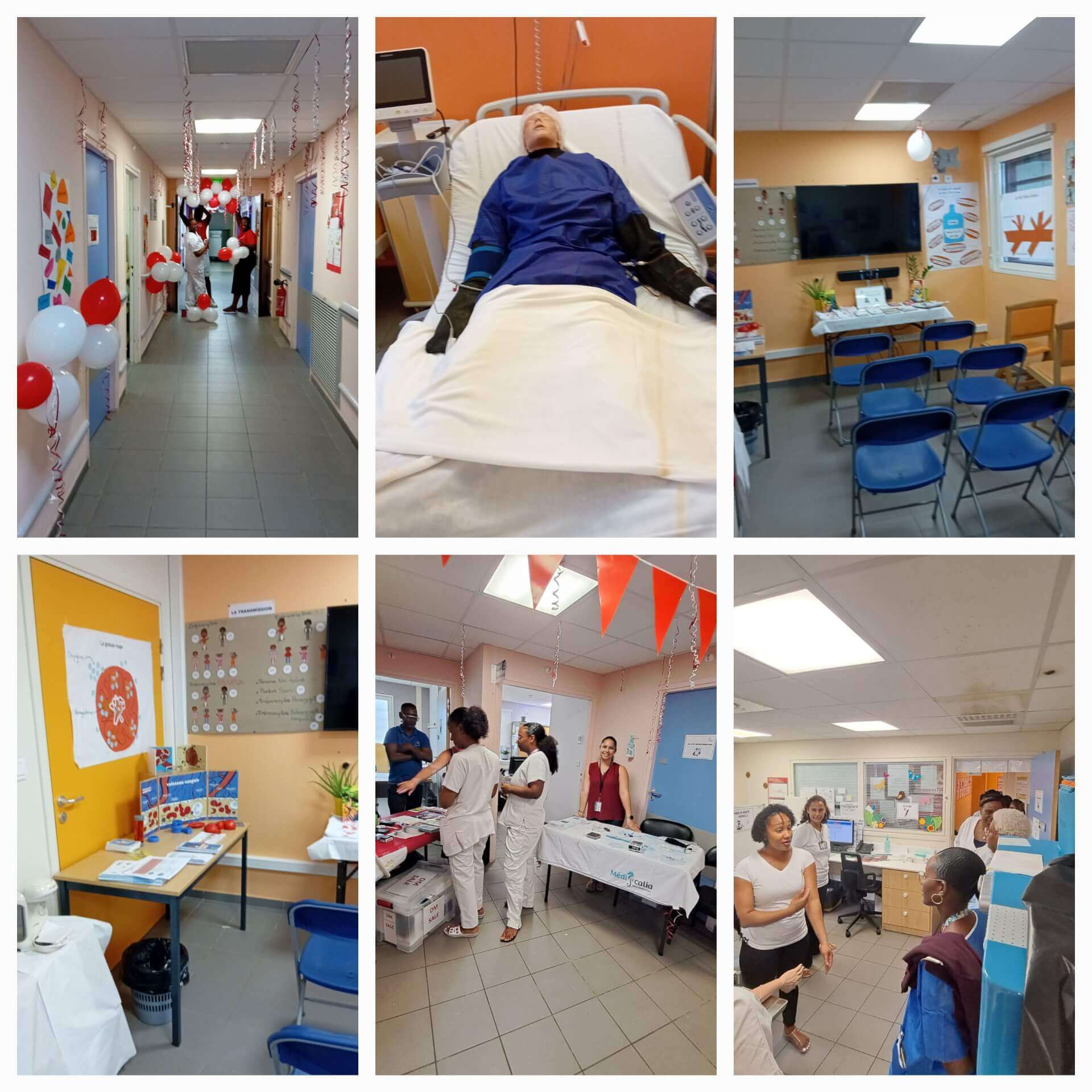 Journée portes ouvertes au Centre Intégré de la Drépanocytose | DrepaGuyane