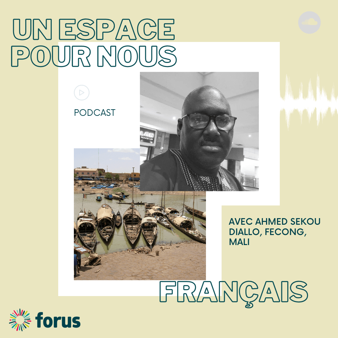 FR - FECONG sur la mise en oeuuvre des ODD au Mali | Forus