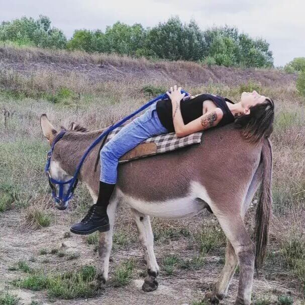 La Consoude - Le Pouvoir Thérapeutique de la Nature | What The Web