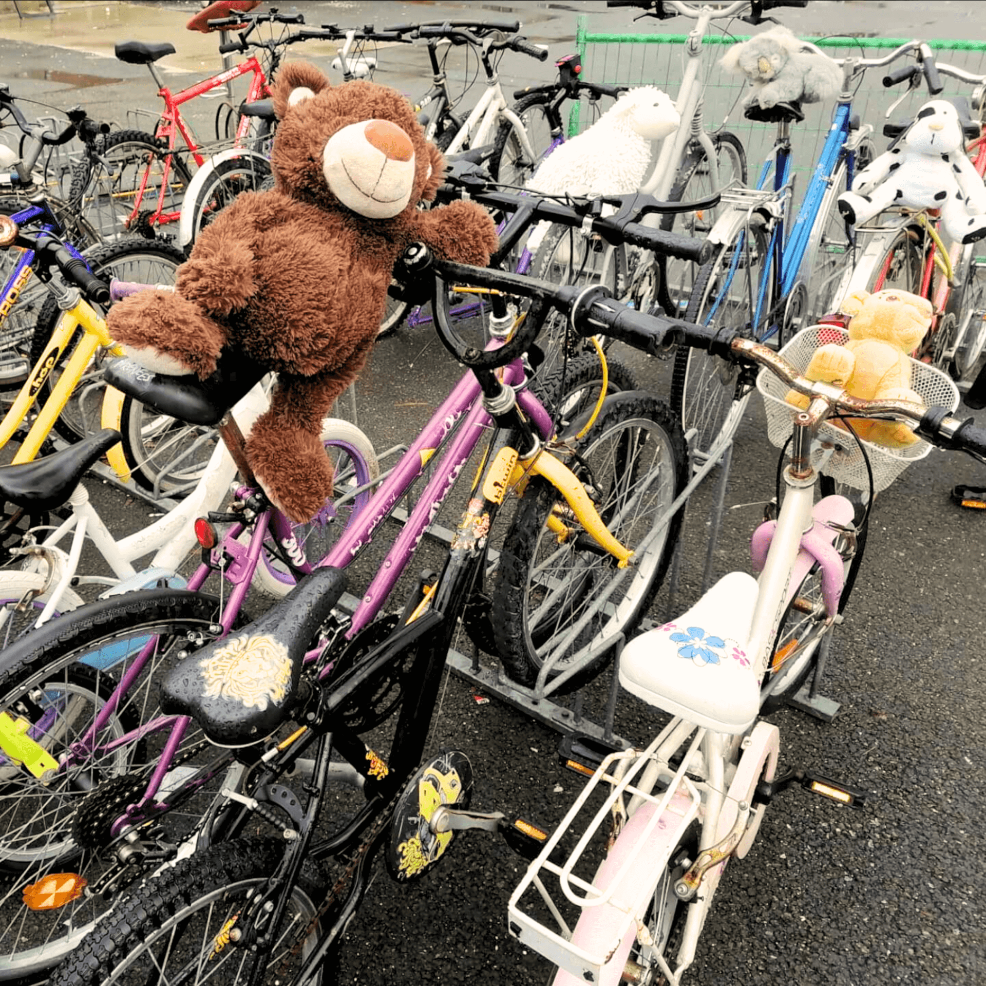 engagement solidaire - bénévolat Emmaüs - bénévolat bordeaux parempuyre - esprit solidaire - engagement - précarité - solidarité | Emmaüs Parempuyre