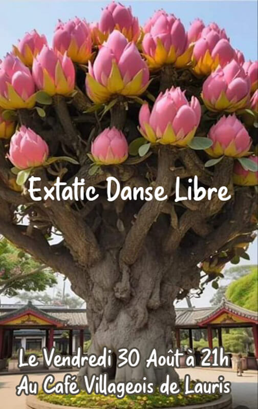 Soirée extatic danse libre | Au Maquis