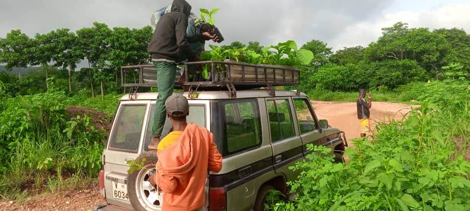 Bénin- Plantations agricoles, activités génératrices de revenus | Sourires d'Enfants