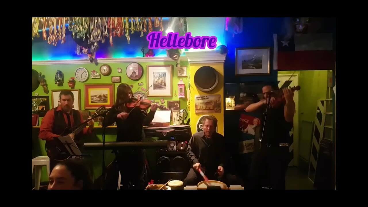 Live at El Cevichero Pisco Bar... | Résidence Résiliente