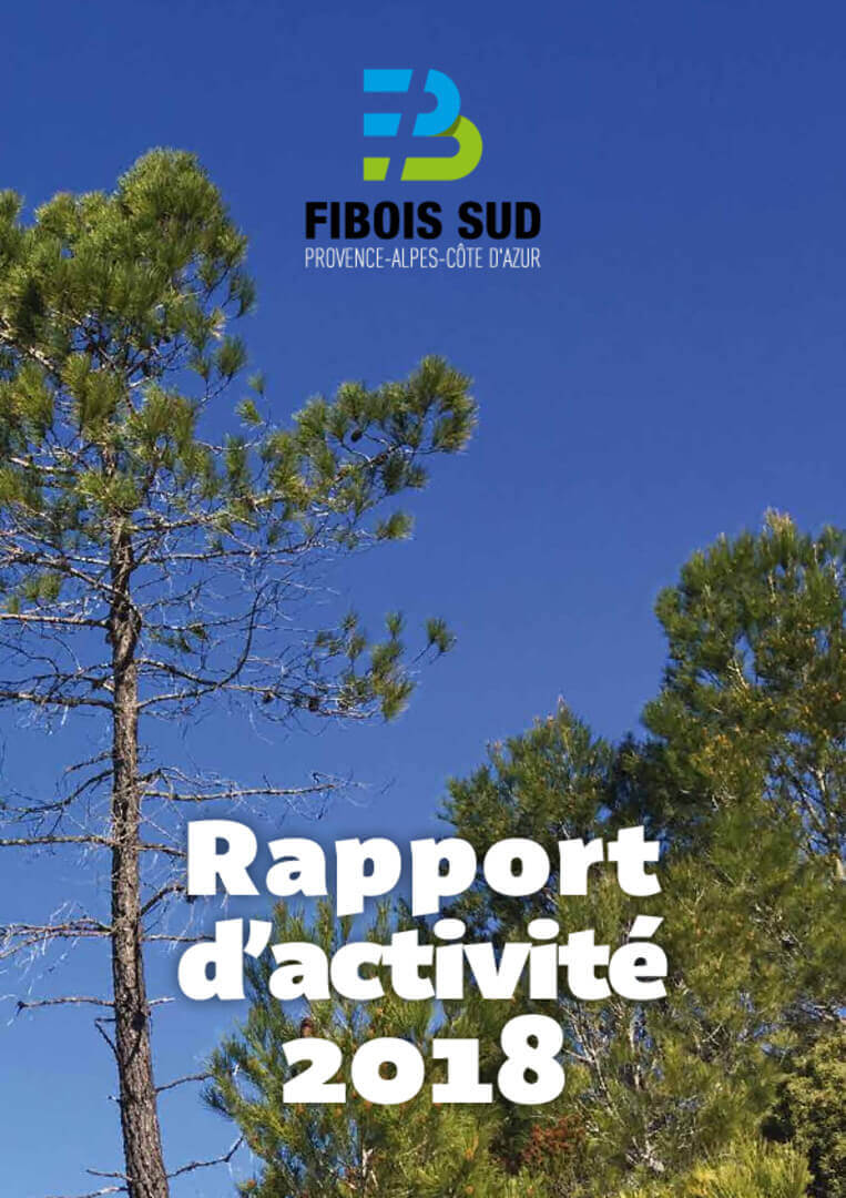 Rapport d'activité 2018 | Fibois Sud