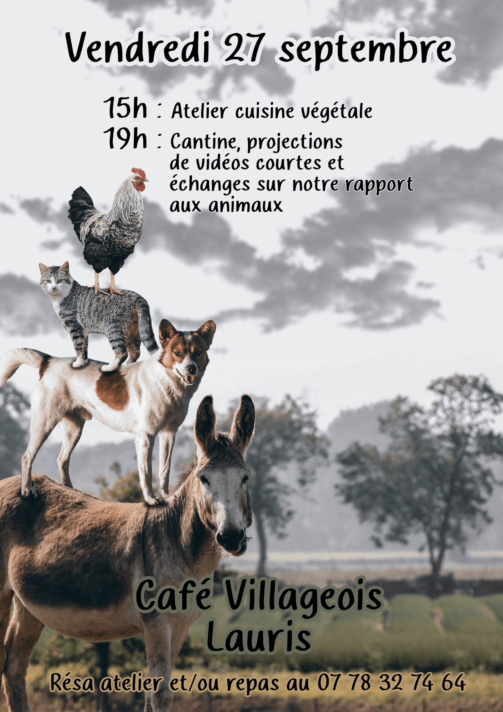 Atelier cuisine végétale et cantine | Vivant·e !