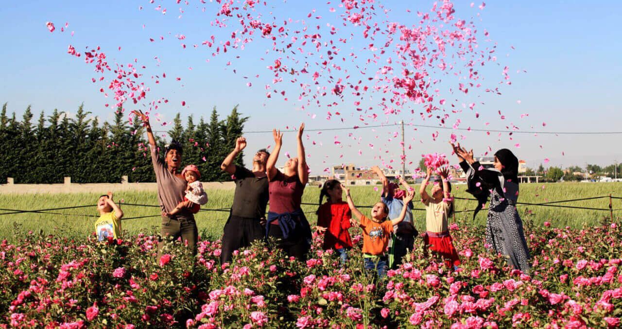 Discussion croisée : Les enjeux des semences céréalières | Vivant·e !