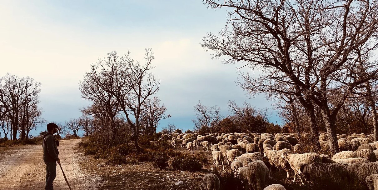 ANNULÉ - Rencontre avec ceux qui nous nourrissent : Émilien & Émilie, éleveurs | Vivant·e !