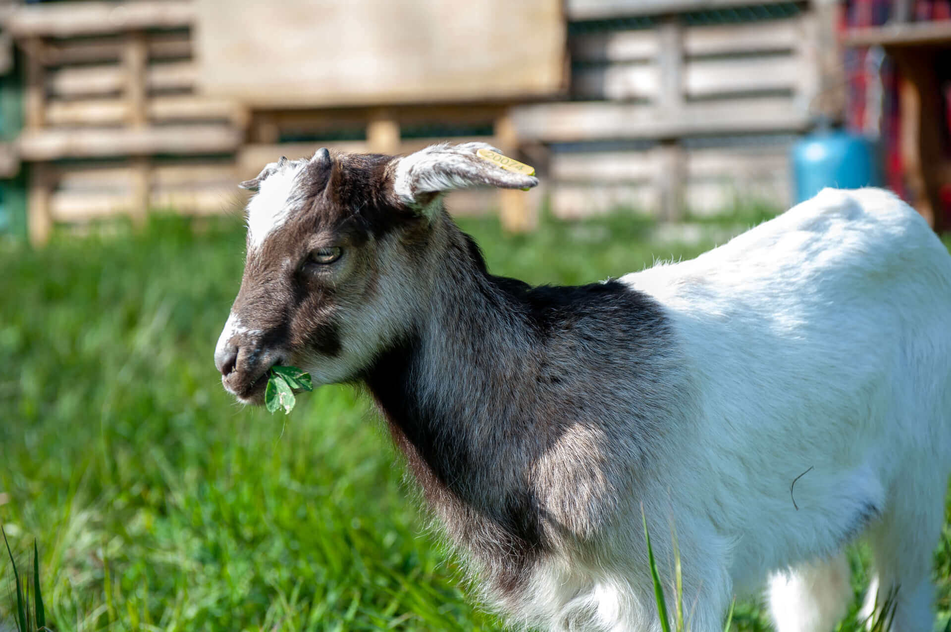 Anorak | La Ferme thérapeutique La Consoude