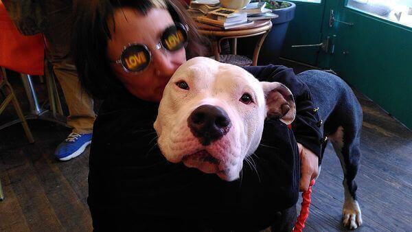 Khéops | La Ferme thérapeutique La Consoude