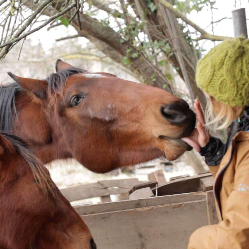Infinie | La Ferme thérapeutique La Consoude