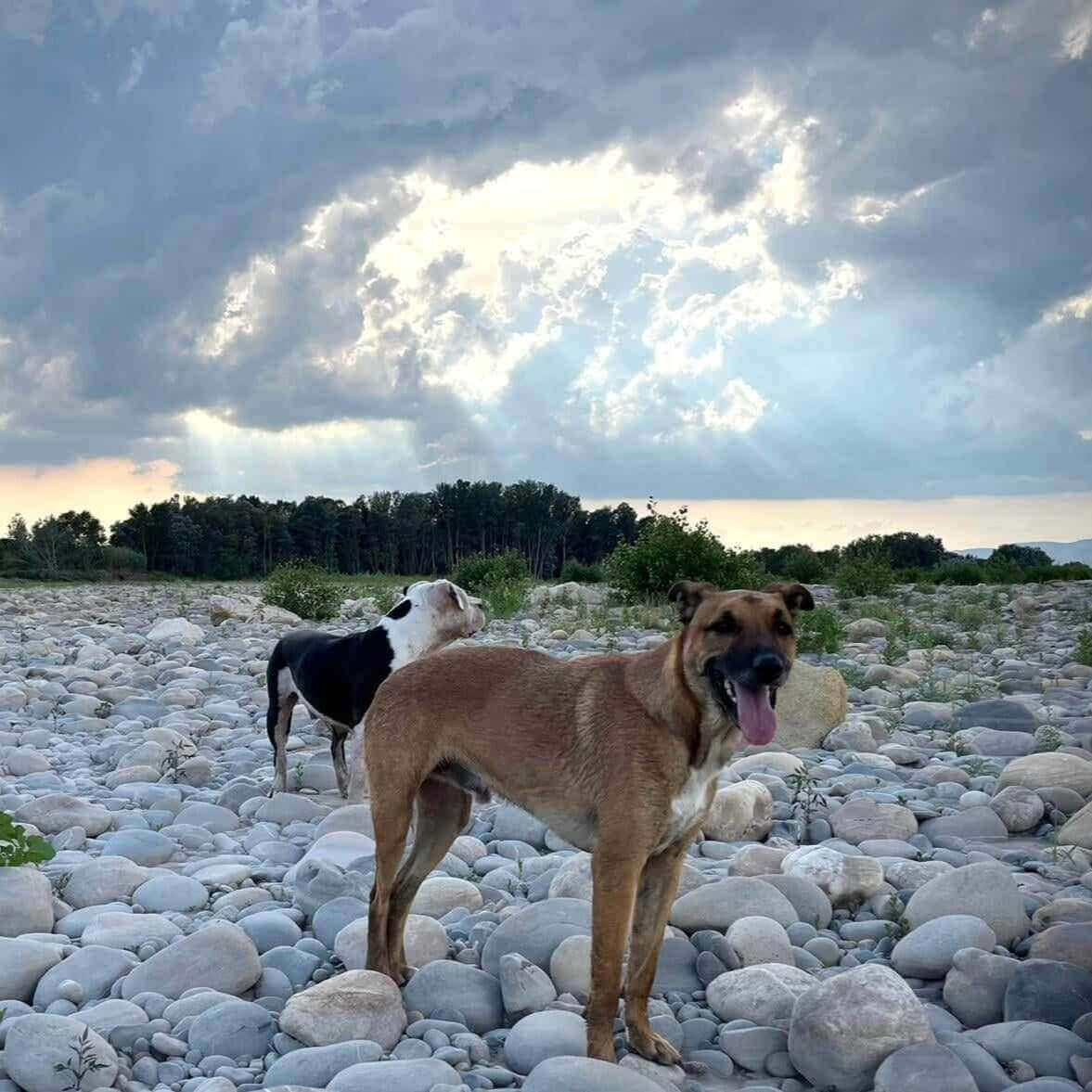 Happy | La Ferme thérapeutique La Consoude