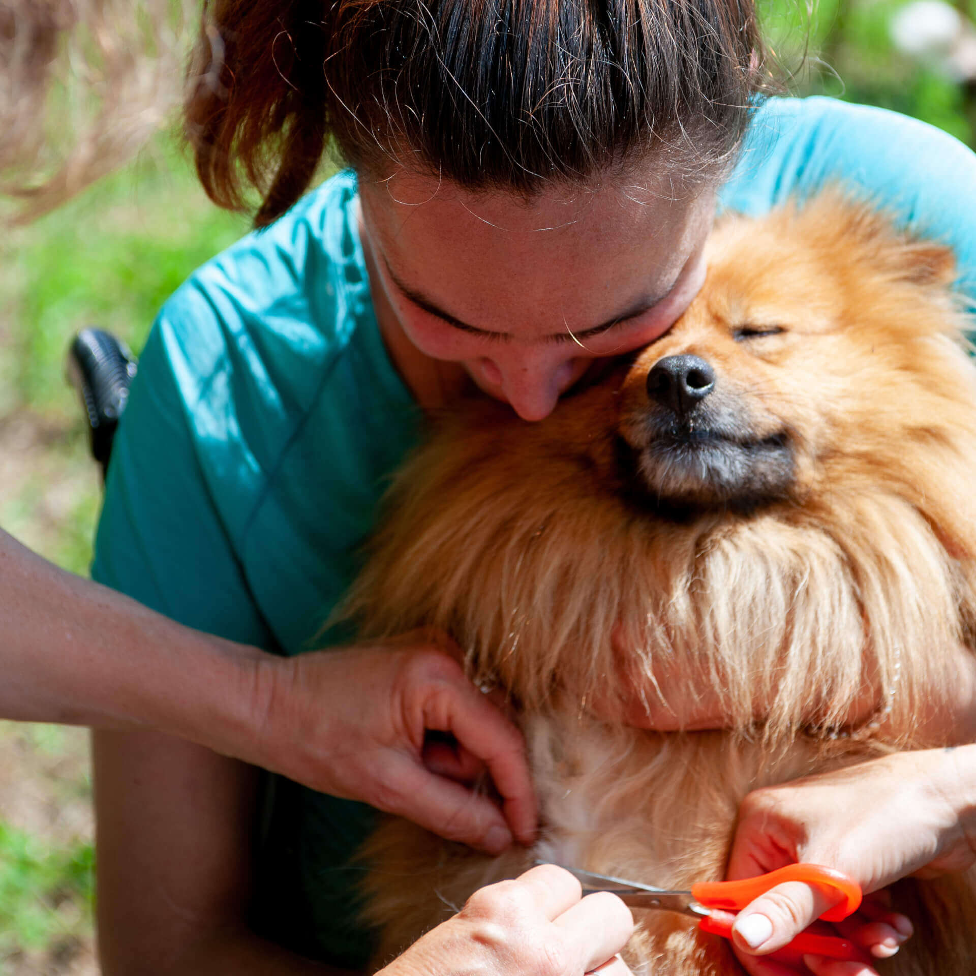 Samba | La Ferme thérapeutique La Consoude