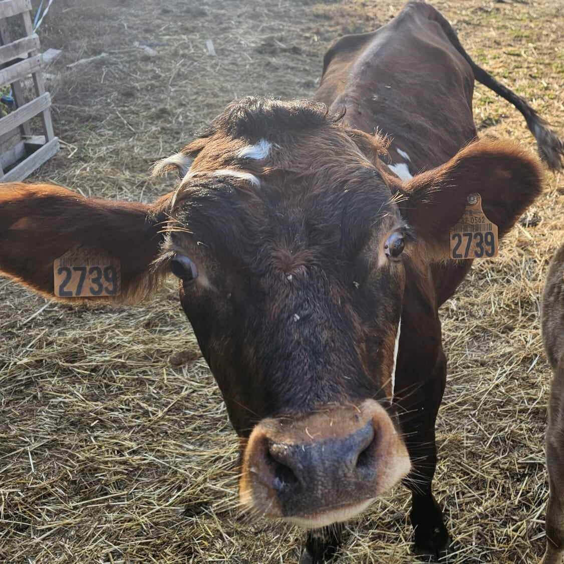 Martin | La Ferme thérapeutique La Consoude