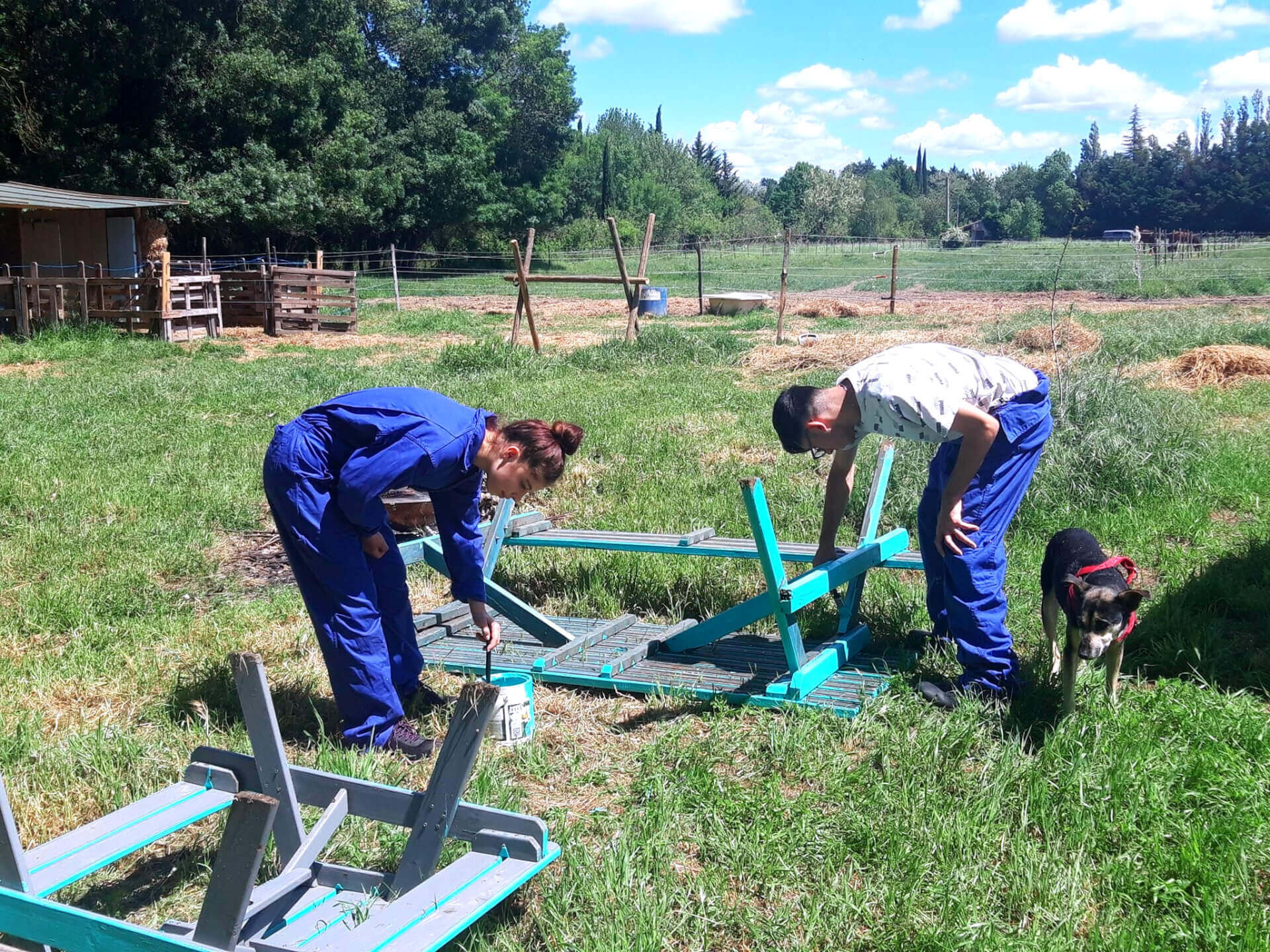 Chantiers d'insertion | La Ferme thérapeutique La Consoude