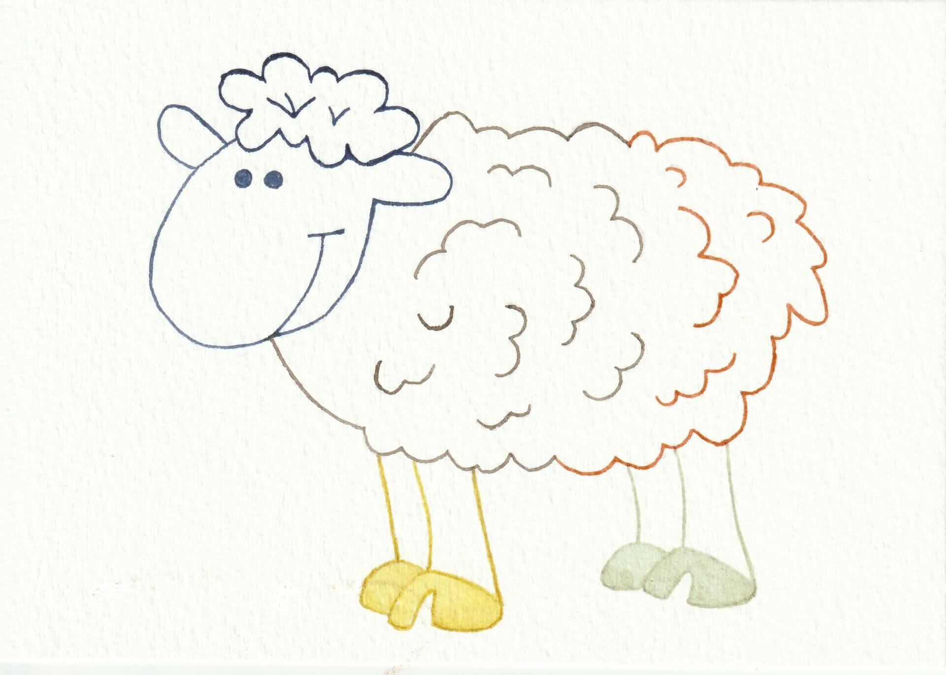 Agneau haut-laimpik | christophe-henry