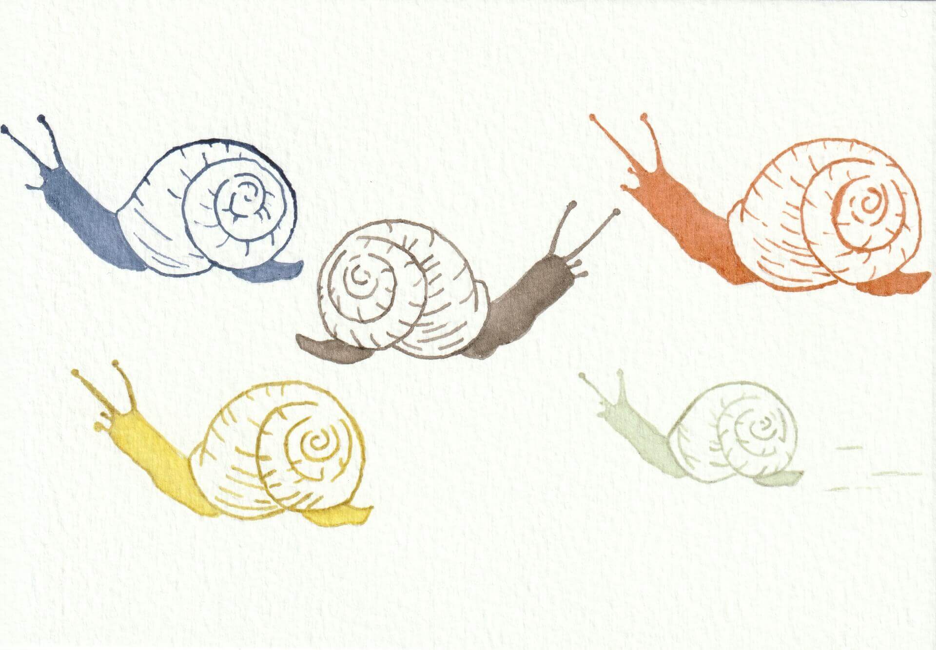 Escargots lympiques | christophe-henry