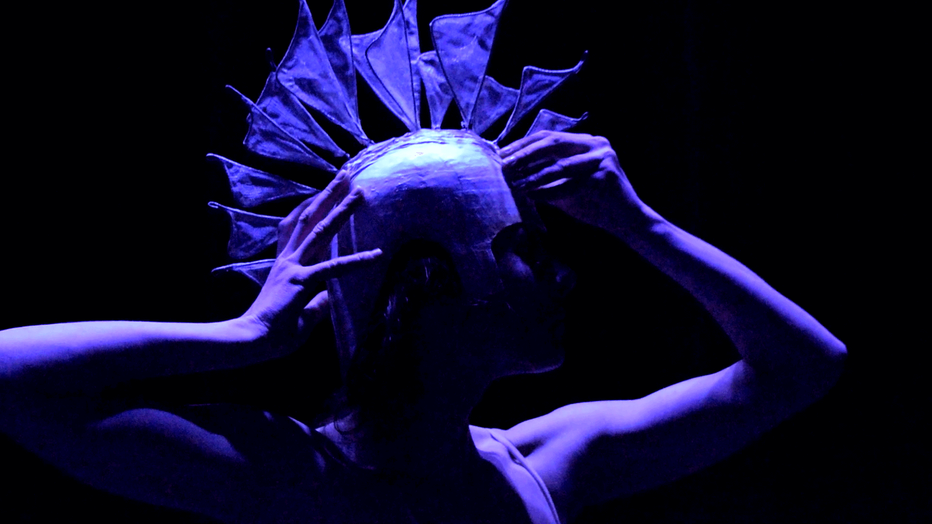 Pauline Tremblay | Haplotès