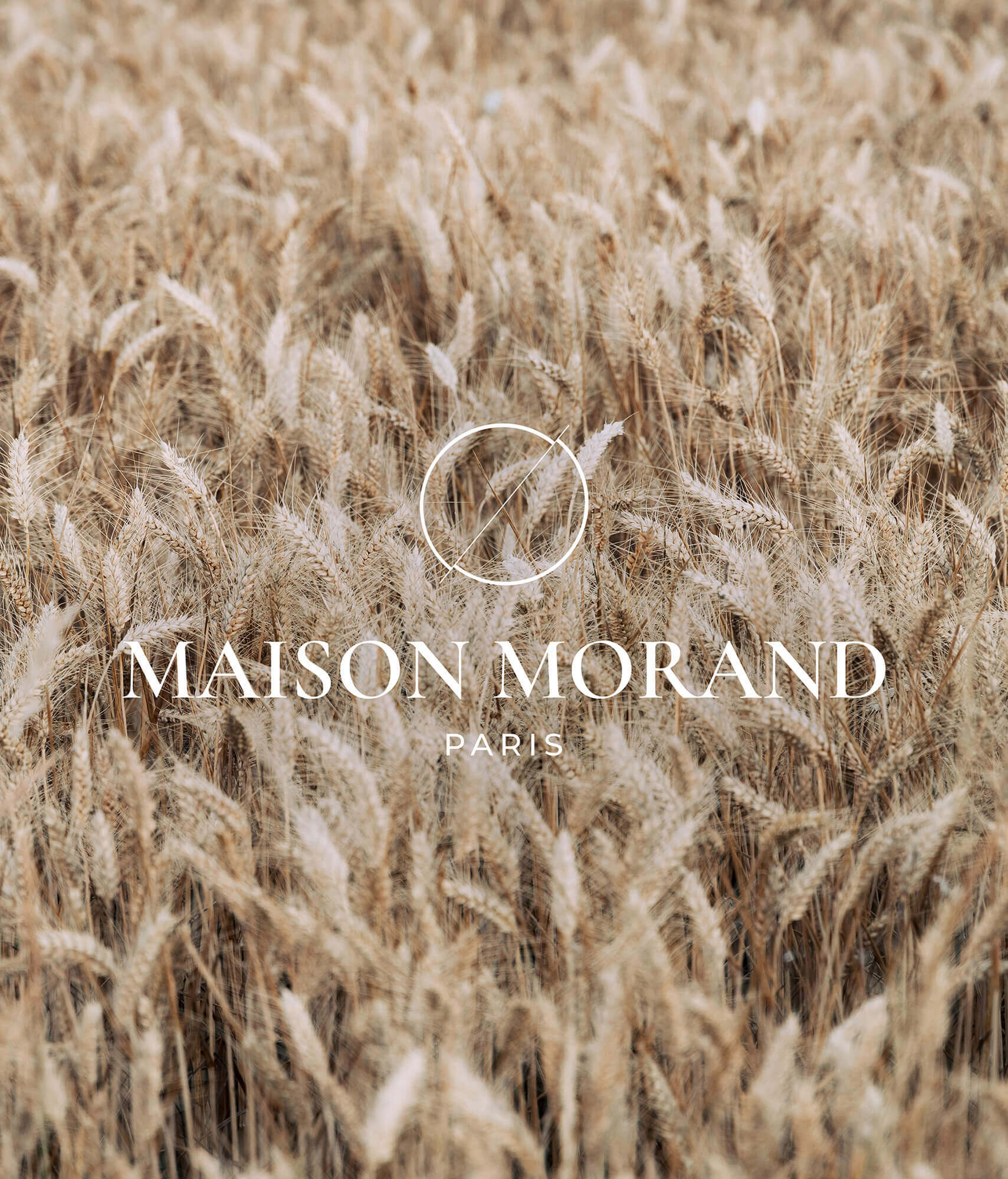 Maison Morand | Giordani Alex
