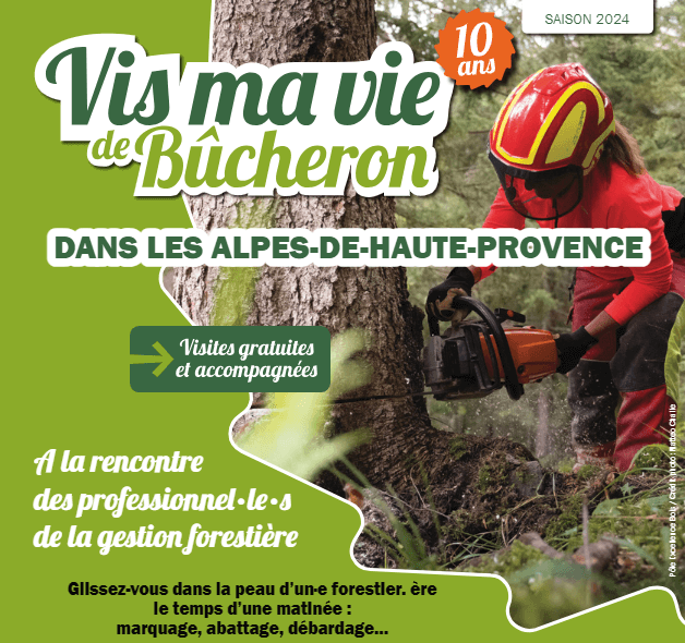 Vis Ma Vie de Bûcheron : Trois Demi-Journées Immersives dans les Forêts Régionales en Juillet | Fibois Sud