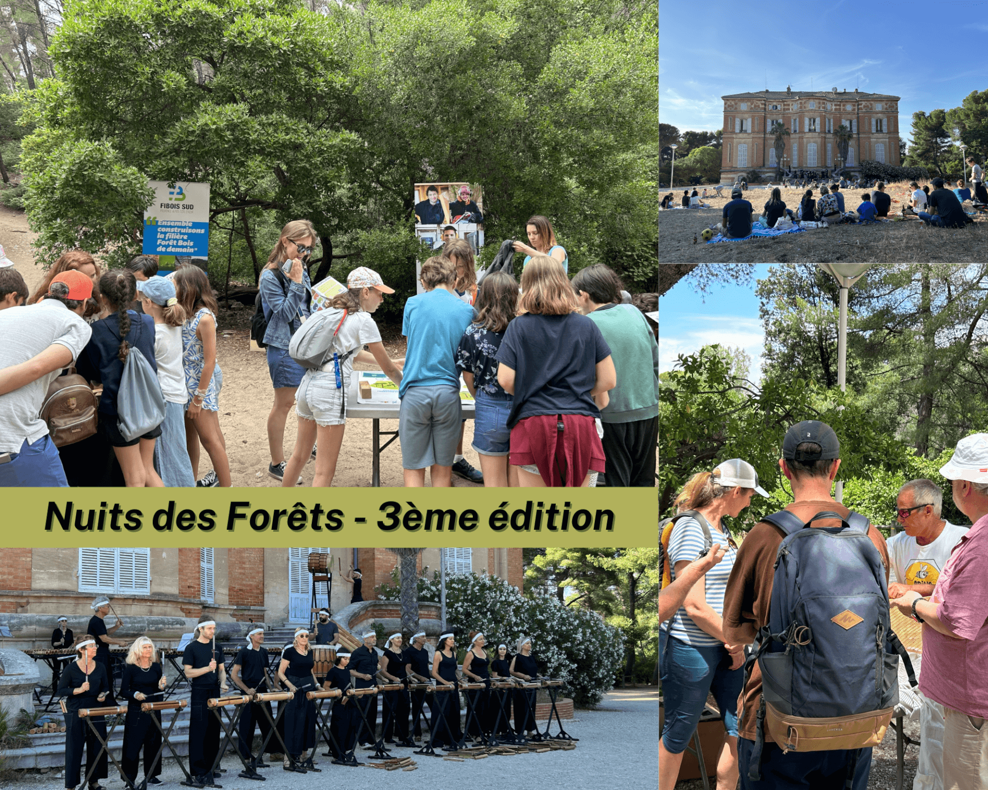 Nuits des Forêts - Marseille 2024 | Fibois Sud