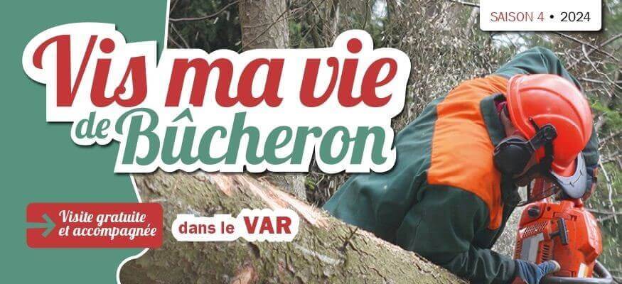 Prochaine session de "Vis ma vie de bûcheron" | Mercredi 24 avril 2024 | Evenos (83) | Fibois Sud