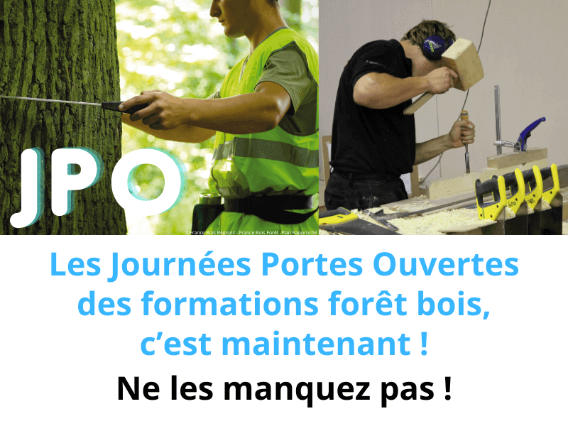 Journées Portes Ouvertes des formations forêt bois : c'est maintenant ! | Fibois Sud
