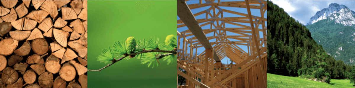 2ème Rencontres Régionales de la filière Forêt-Bois, le 24 octobre 2019 à Gap | Fibois Sud